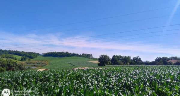 81942_90_598951_g